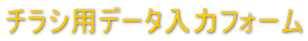 `Vpf[^̓tH[